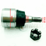 ATV LİNHAİ ALT ROTİL SETSİZ 10-13-34 mm
