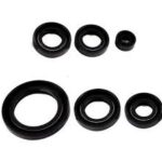 CUP 100 / 110 / 125 MODELLERE UYUMLU MOTOR KEÇE SETİ